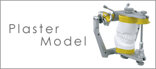 Plaster Model